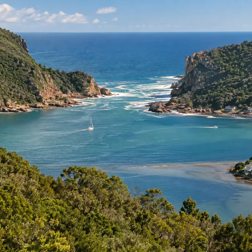 Homes and local landscape in Knysna
